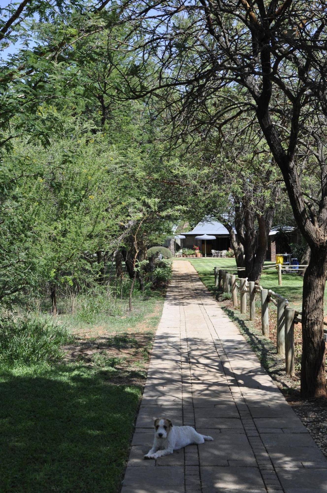 Grincourt B&B- With No Load Shedding Polokwane Exterior photo