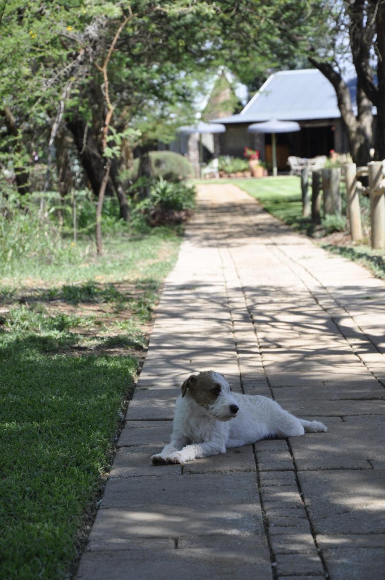 Grincourt B&B- With No Load Shedding Polokwane Exterior photo
